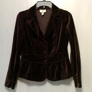 Ann Taylor loft sz 4 color Brown velvet in good condition